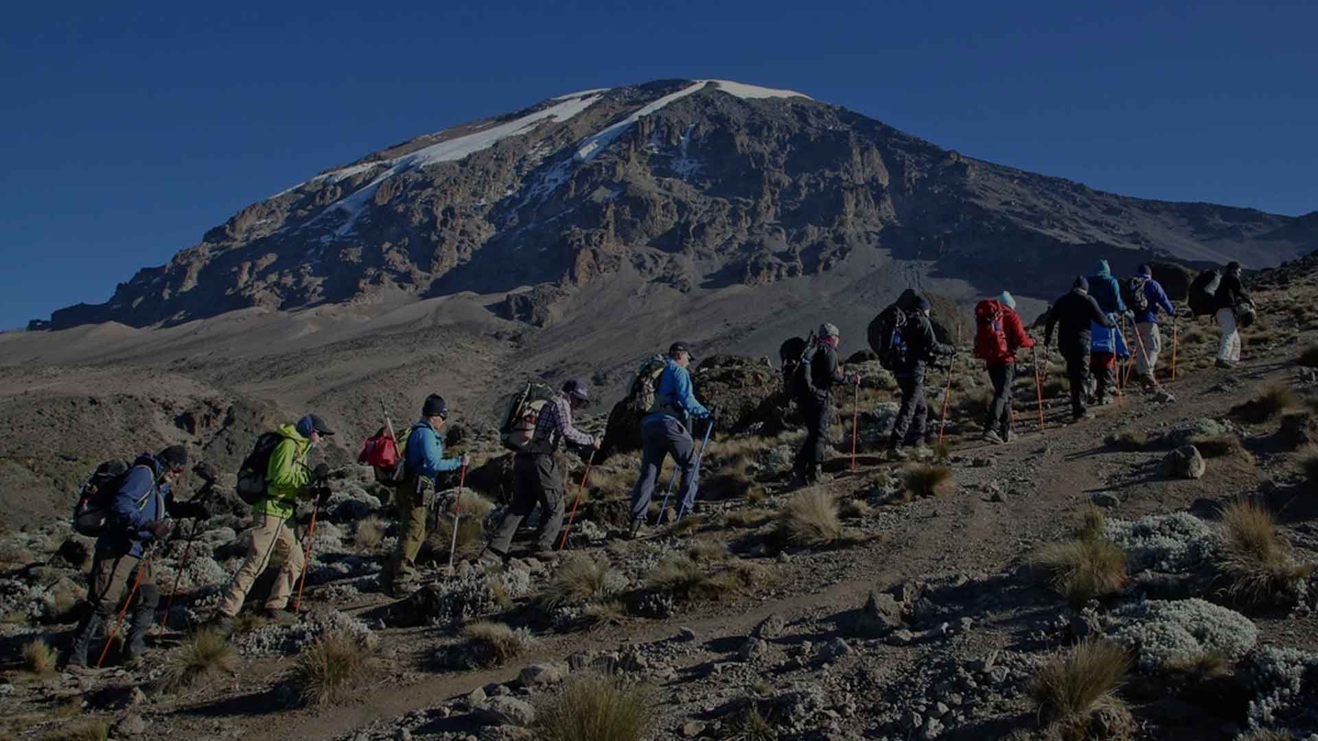 Mount Kilimanjaro day trip