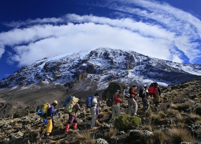 Mount Kilimanjaro safari