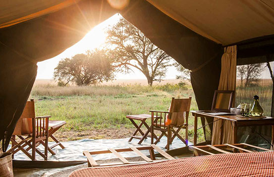Nomad Serengeti Safari Camp