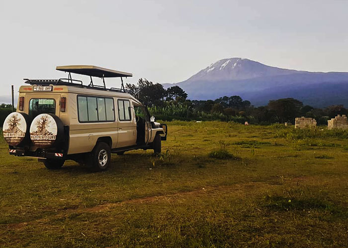 Safari and Mount Kilimanjaro