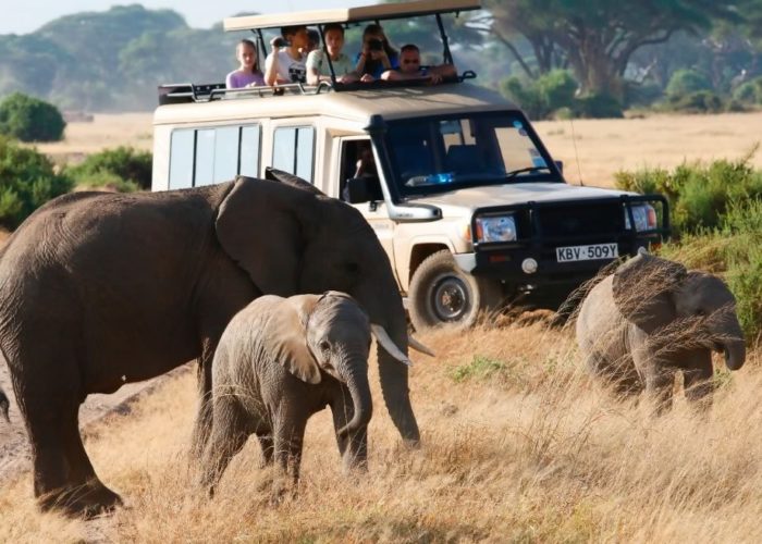 Tanzania family safari