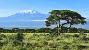 Visit Kilimanjaro