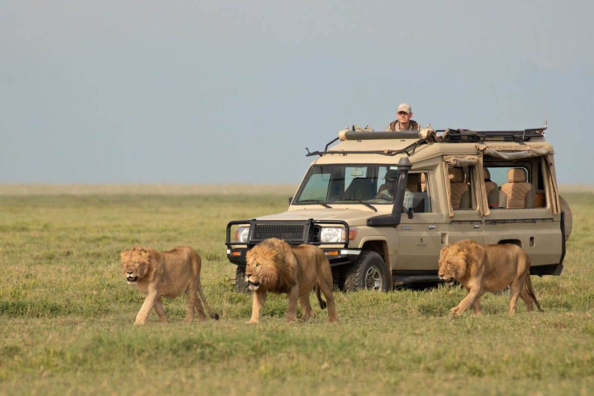 Why visit Serengeti