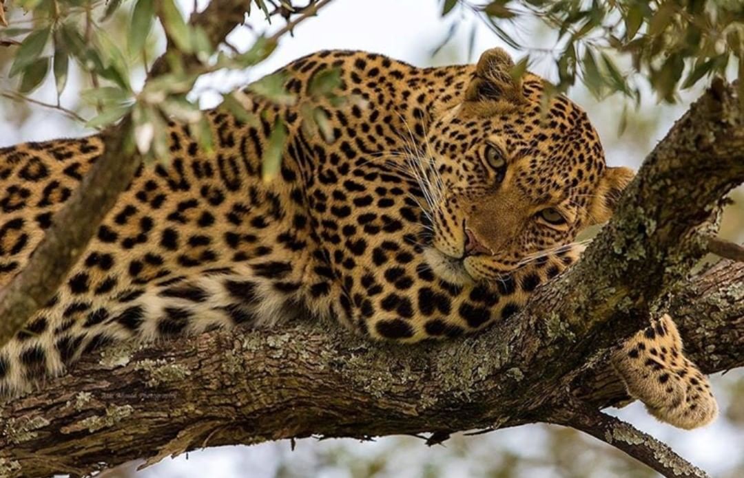 Serengeti National Park