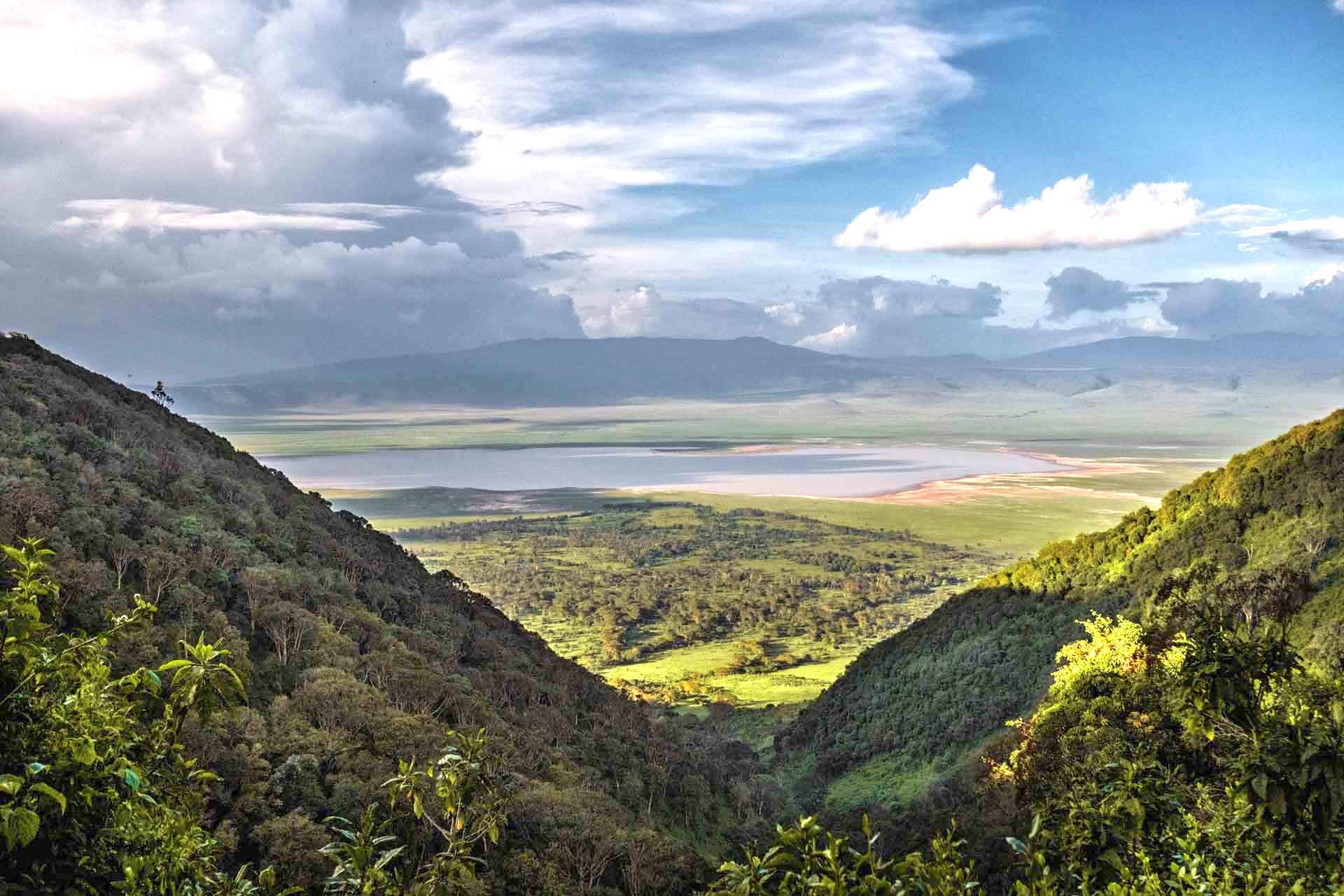 Ngorongoro Crater