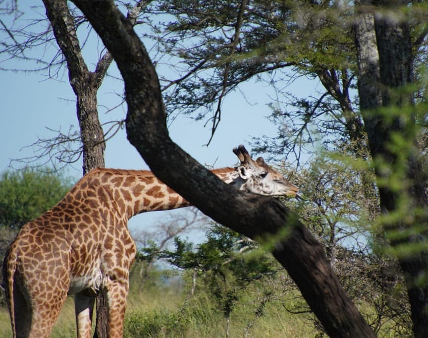 </br>Arusha National Park