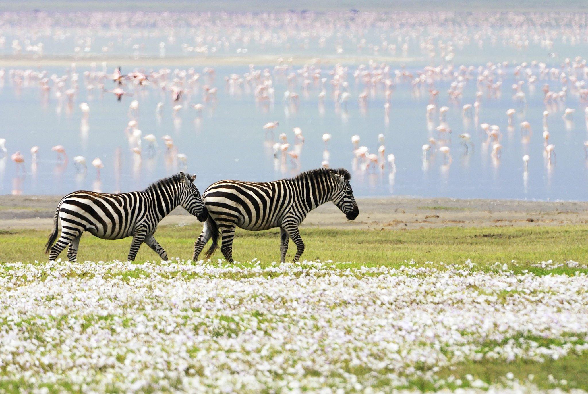 Lake Manyara National Park