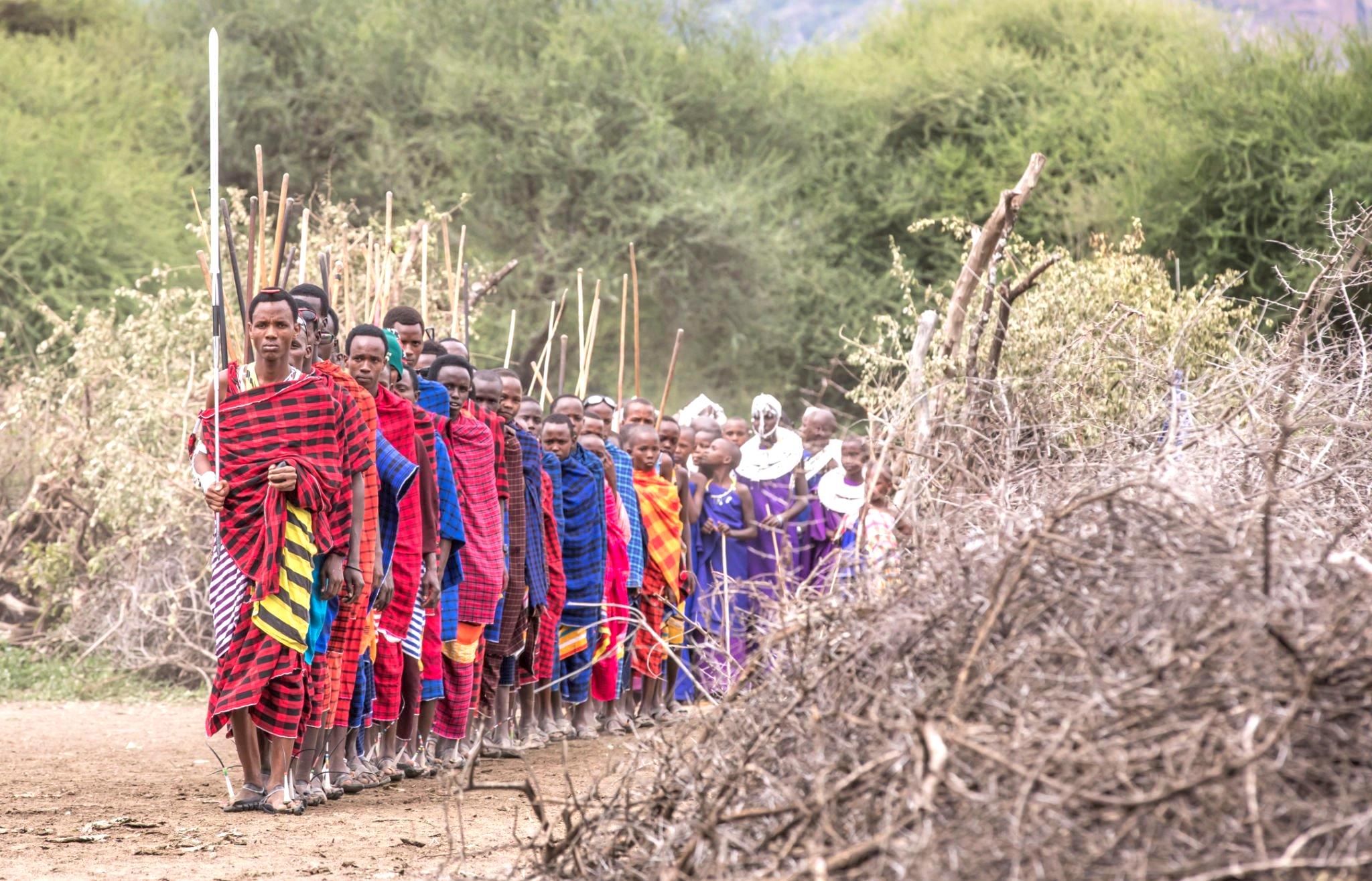 maasai culture