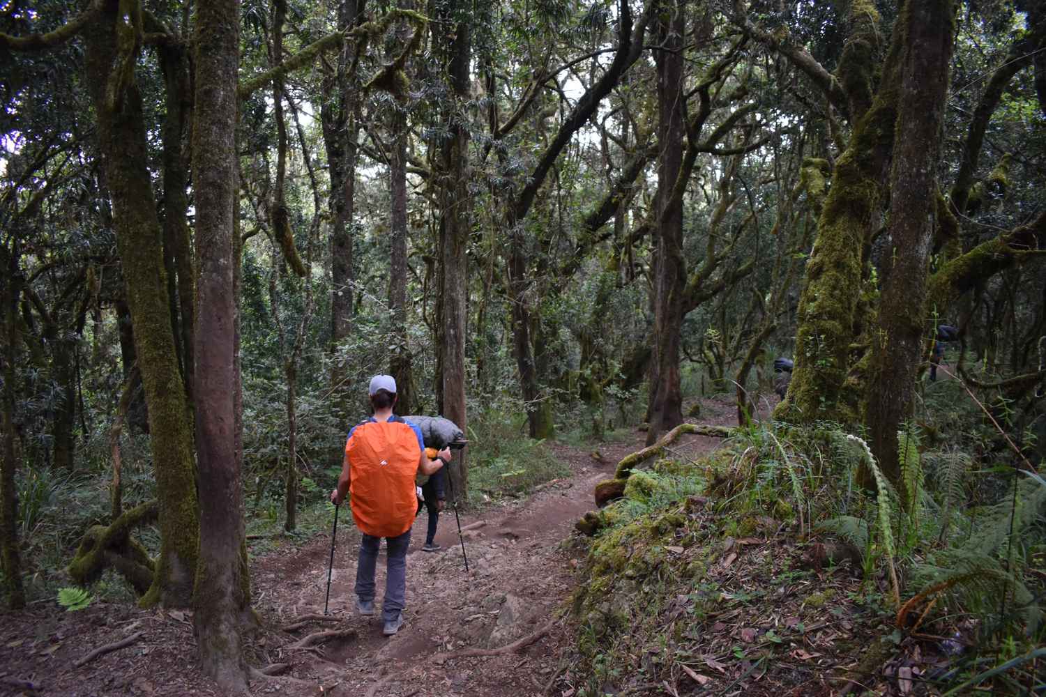mweka climbing