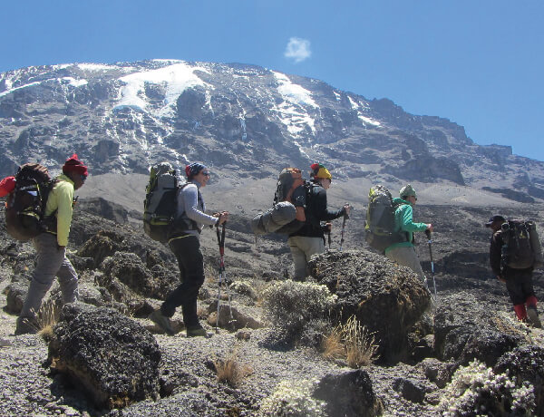 view to kilimanjaro via lemosho route