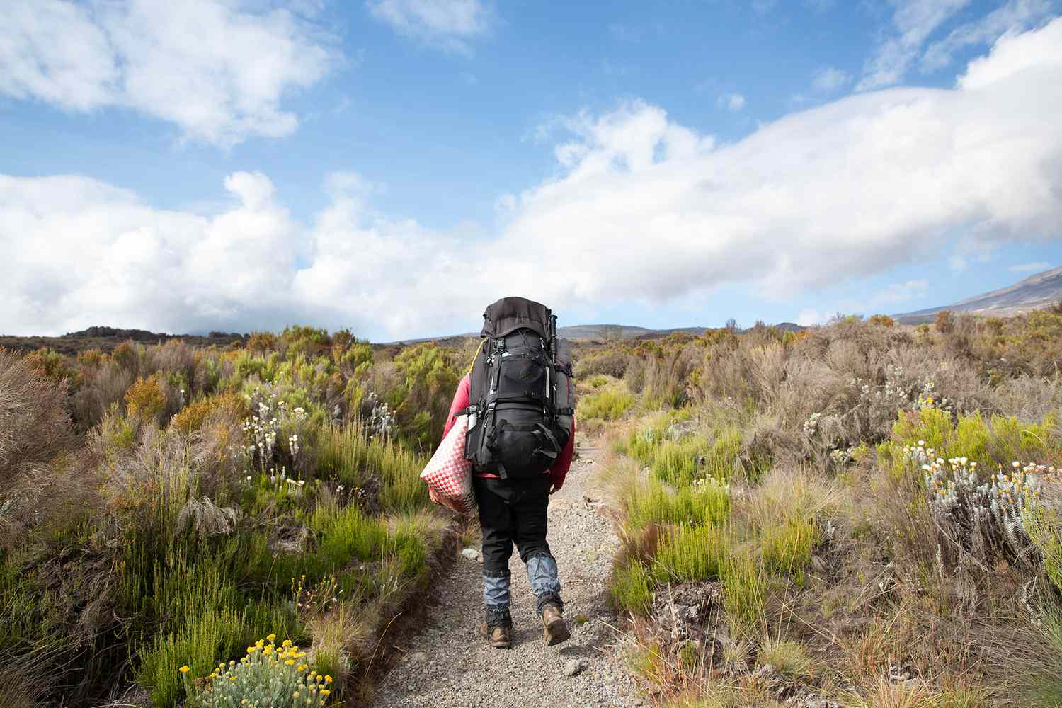 2015 Most Incredible Moment Happens On Mount Kilimanjaro