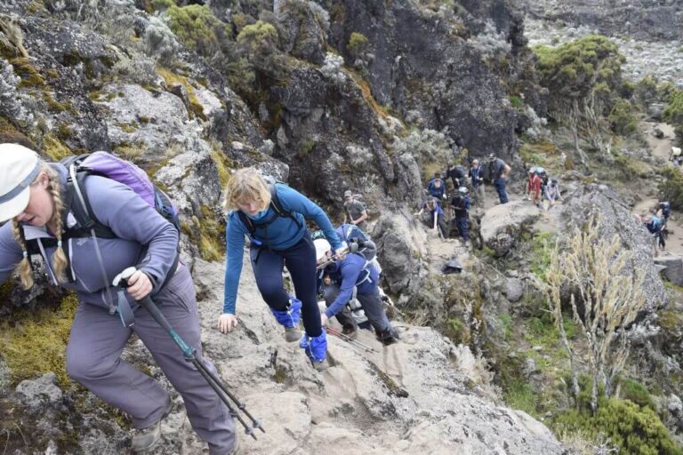 A Step By Step Girls Guide For Climbing Mount Kilimanjaro