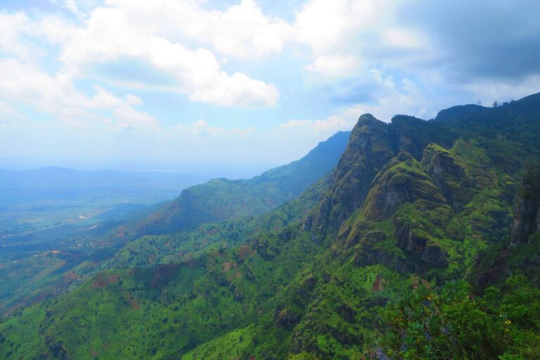 Discover The Best Things To Do In Usambara Mountain
