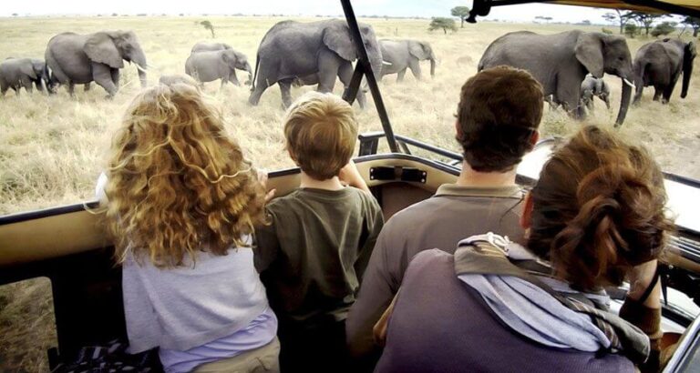 Experience Tanzania Family Safaris