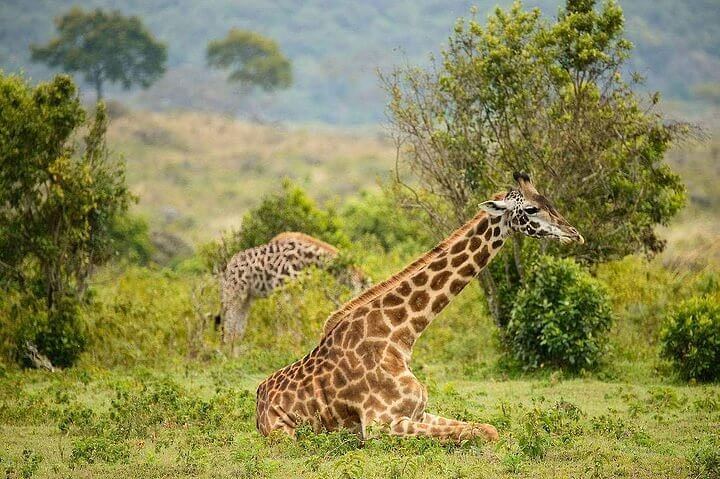 Explore 9 Destinations With Incredible Views During Your Tanzania Safari Tours