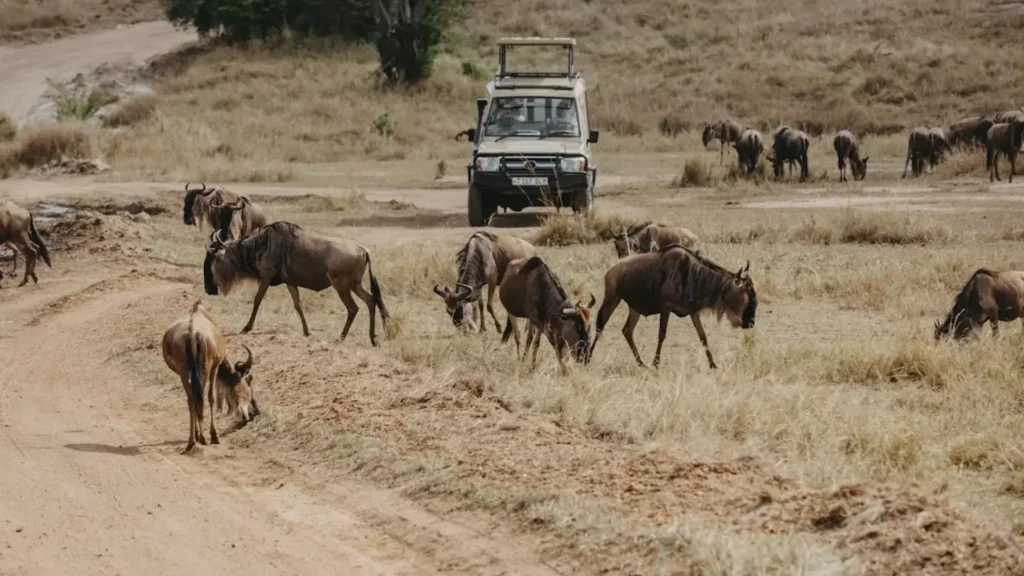 Explore 9 Destinations With Incredible Views During Your Tanzania Safari Tours1