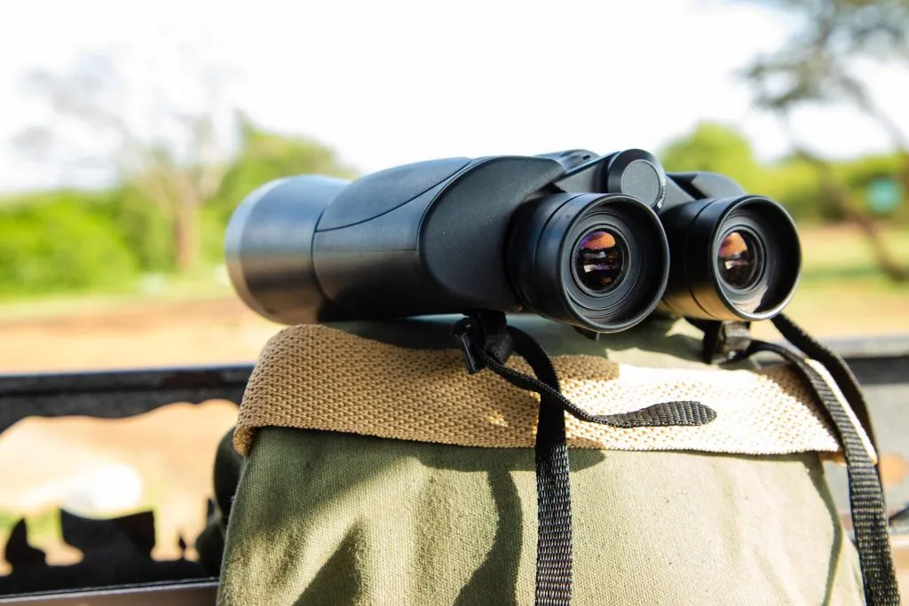 Things To Know Before Doing A Safari In Tanzanias