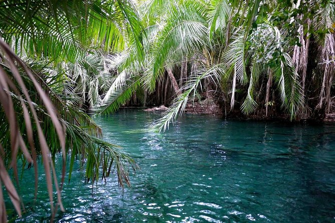 Chemka Hotspring Kikuletwa Materuni