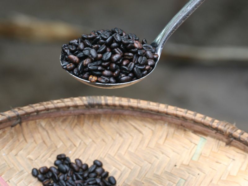 Roosted coffee beans