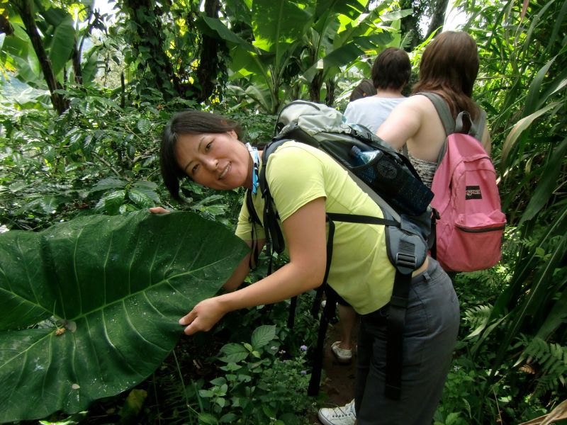 chagga farm at Materuni