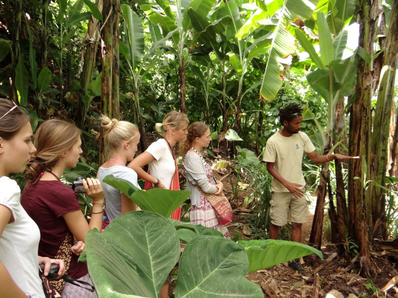 coffee tour at Materuni village
