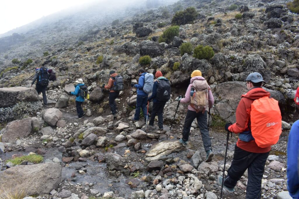 hike cross the shira plateu