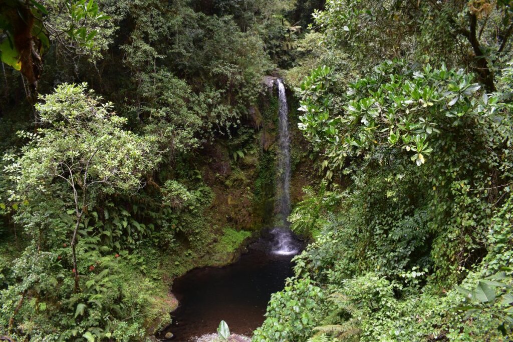 Day trip marangu route