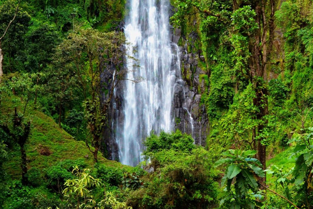 Materuni Waterfalls