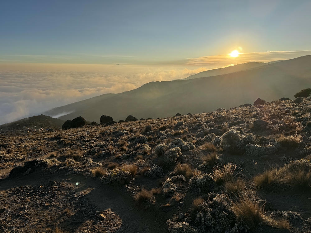 Sun set, at kilimanjaro