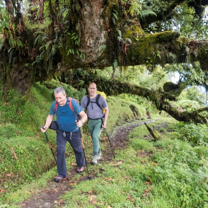 Mount Meru Climbing