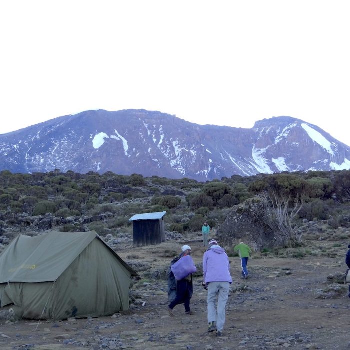 RONGAI KILIMANJARO