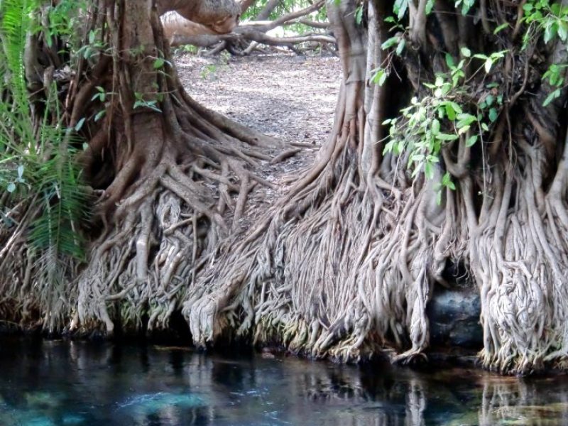 Chemka Hot Spring pool