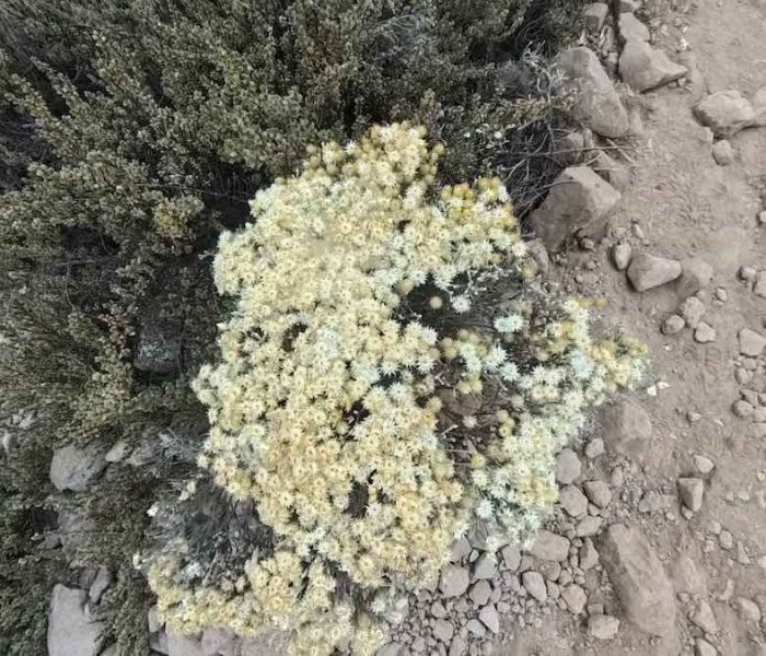 DCIMCamera01IMG_20250914_163627_00_059.ins