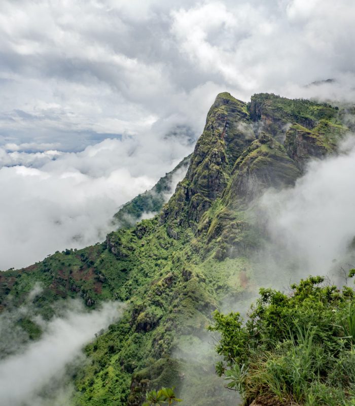 usambara mountain