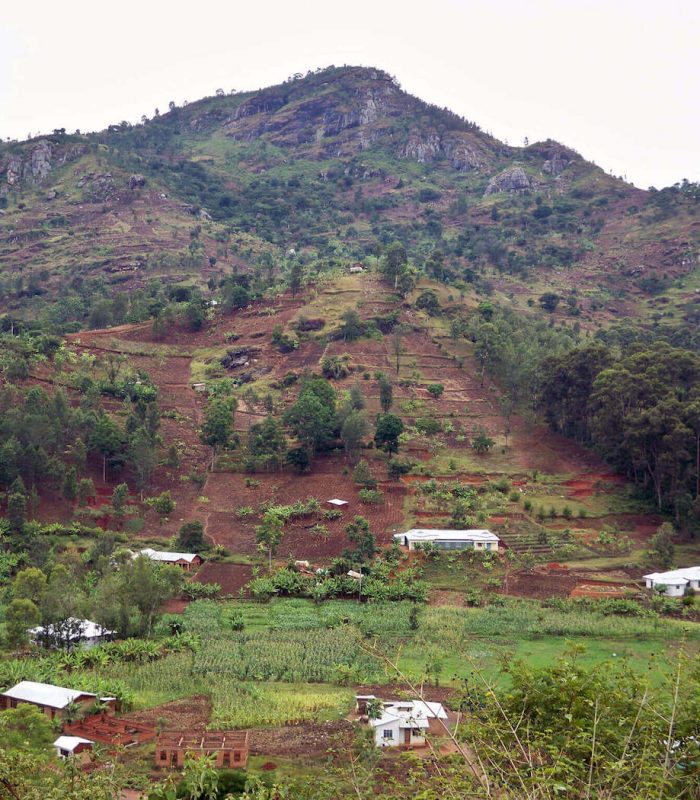 usambara tanzania (1)